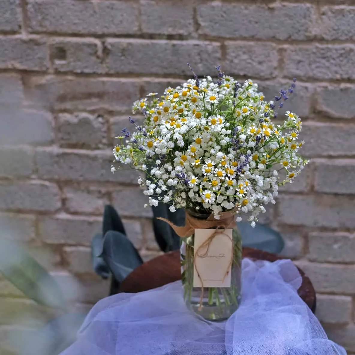 Chamomile & Baby's Breath in jar