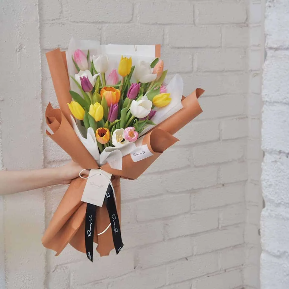 Colourful Dutch Tulips (Limited)