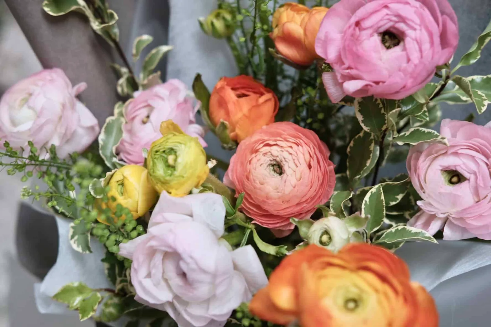 Colourful Ranunculus Bouquet 2