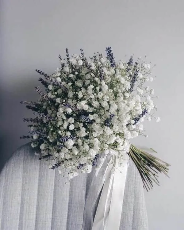 Meadow