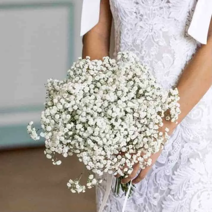 Baby's Breath Bridal Bouquet
