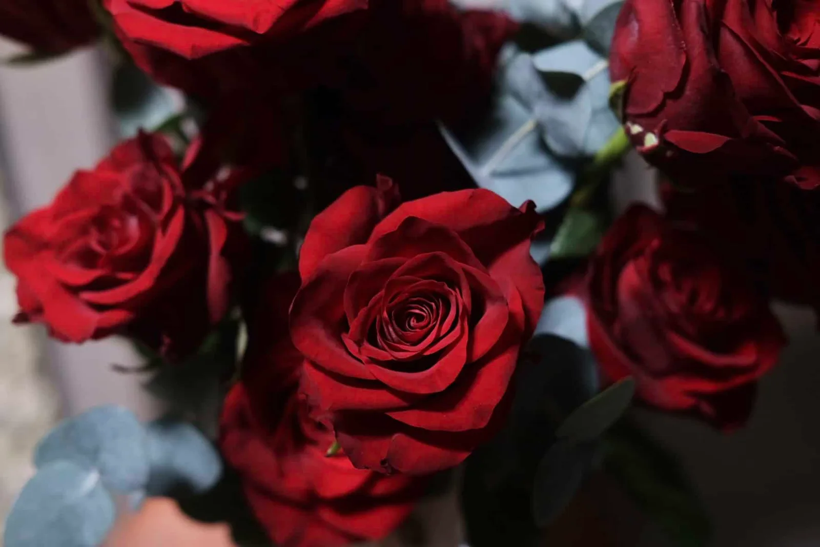 Red Roses in Jar 3