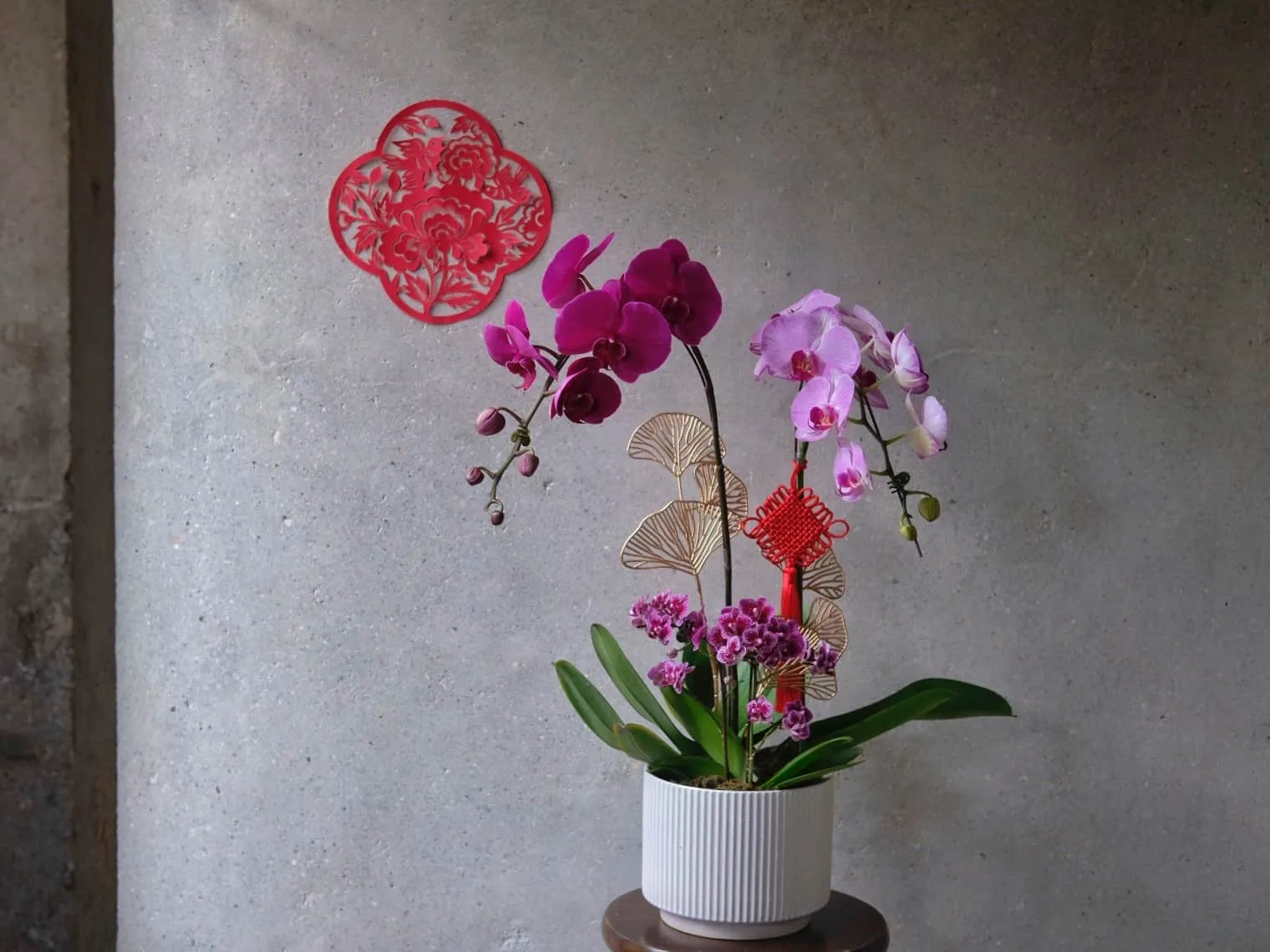 Mix Phalaenopsis Orchids in Pot