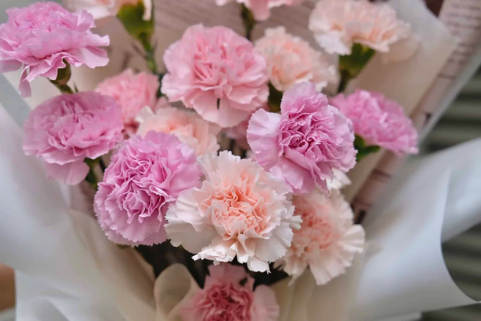 Pastel Carnation Bouquet 3