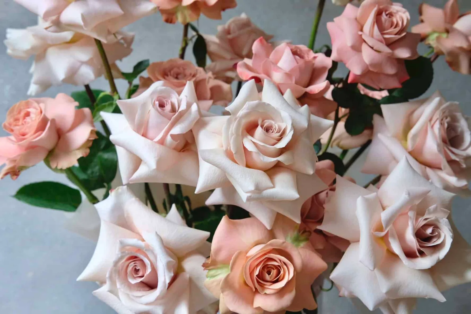 Quicksand & Cappuccino Roses Hat Box 4