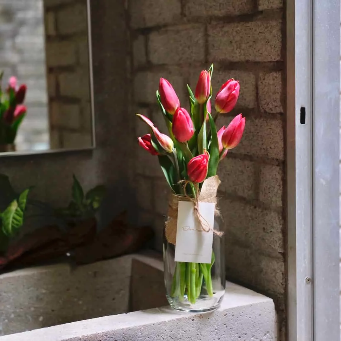 10 Tulips in jar 5