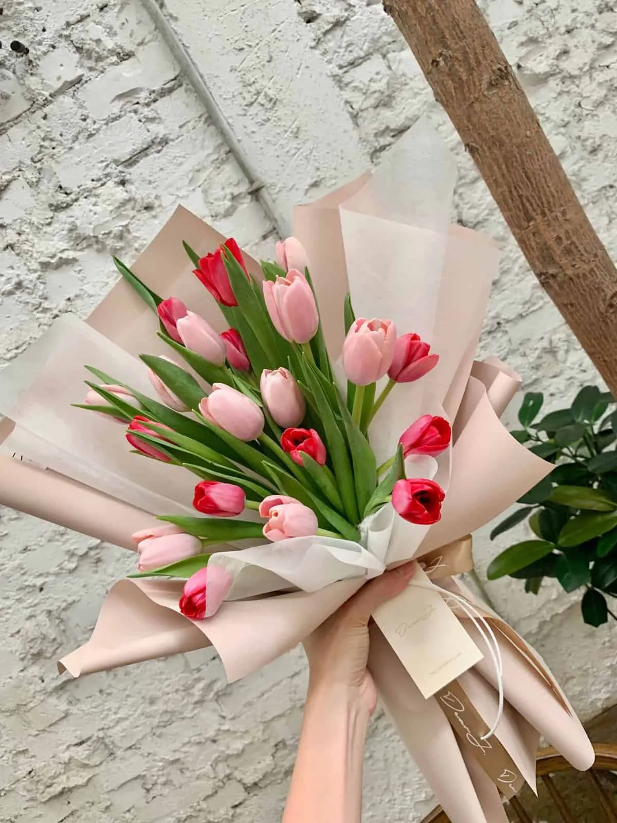Mixed Color Tulips Bouquet 7