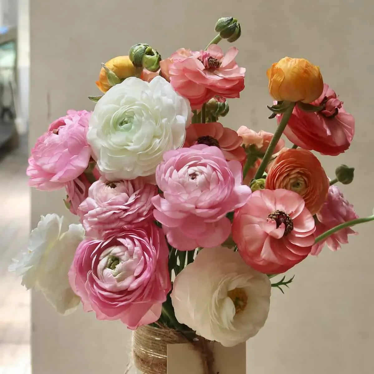 Colourful Ranunculus in Jar 2