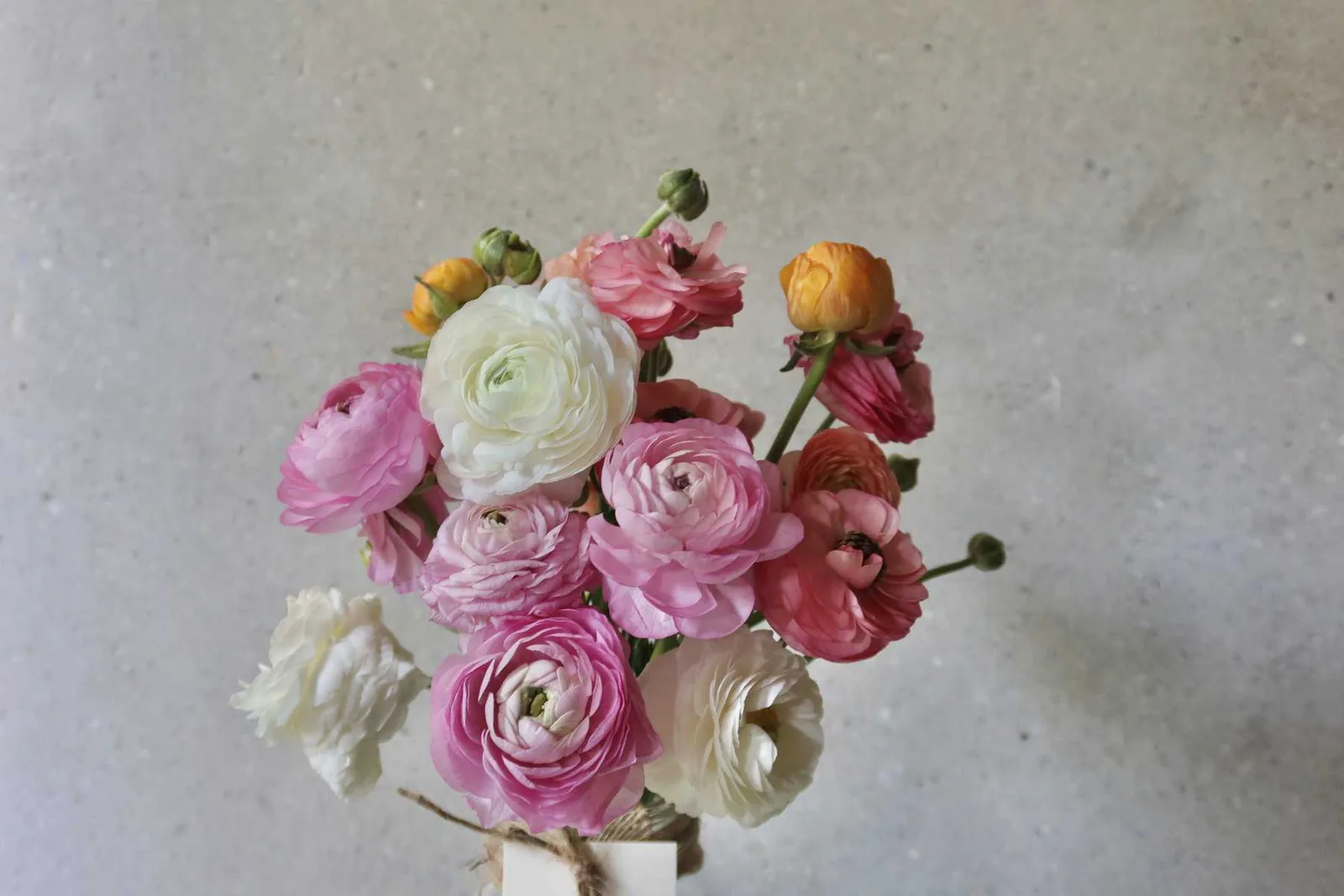 Colourful Ranunculus in Jar 3
