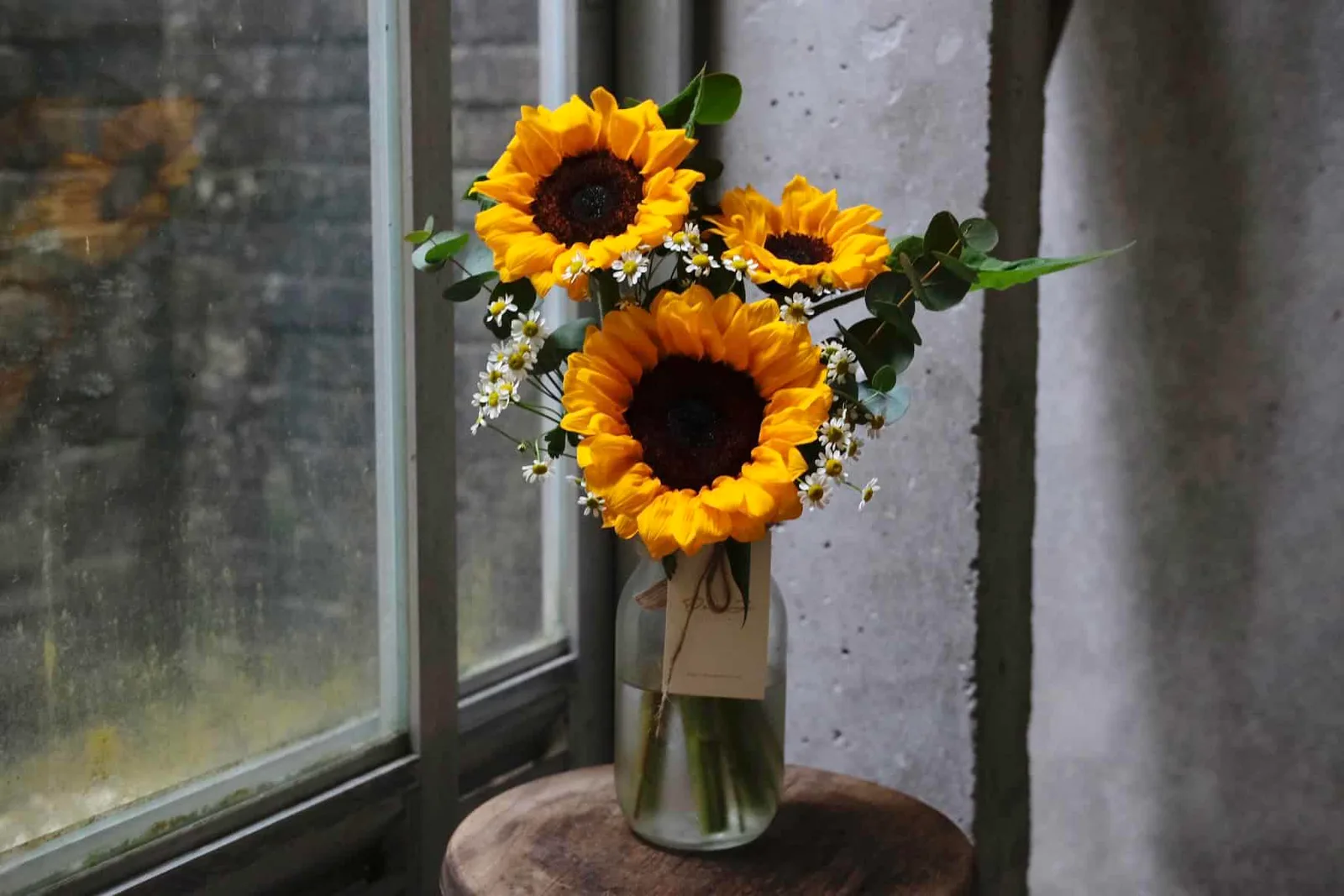 Sunflowers in Jar