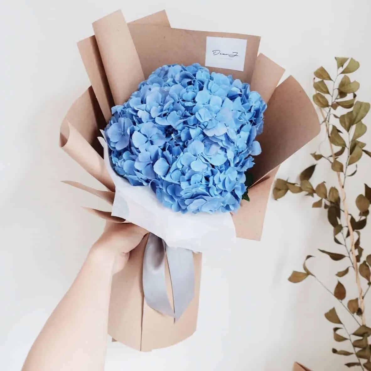 Dark Blue Hydrangea