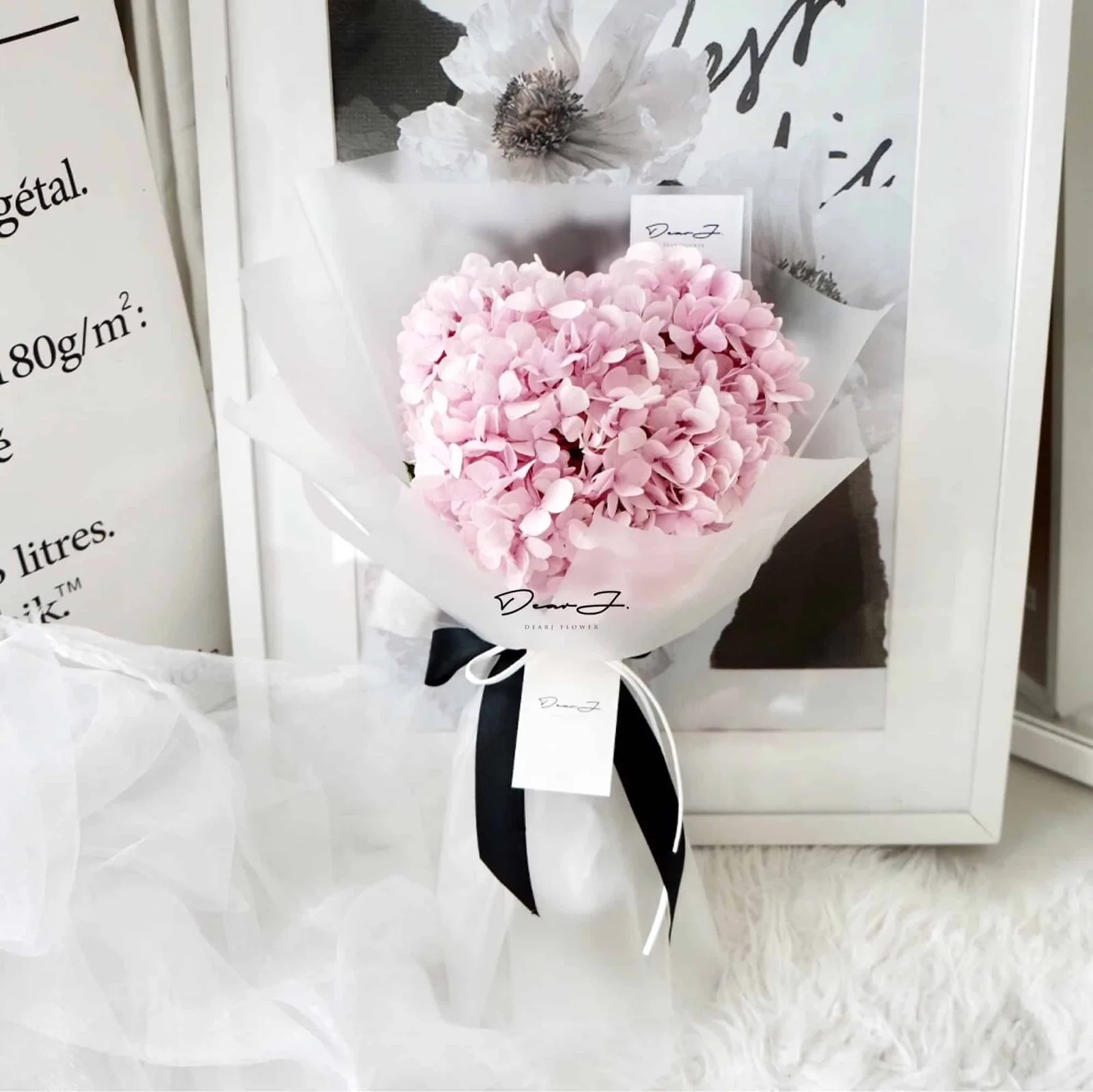 Hydrangea