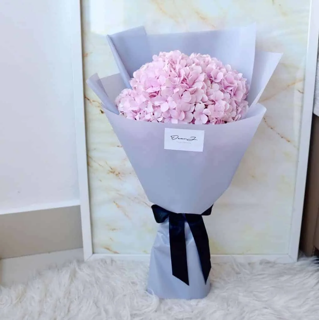 Hydrangea 3