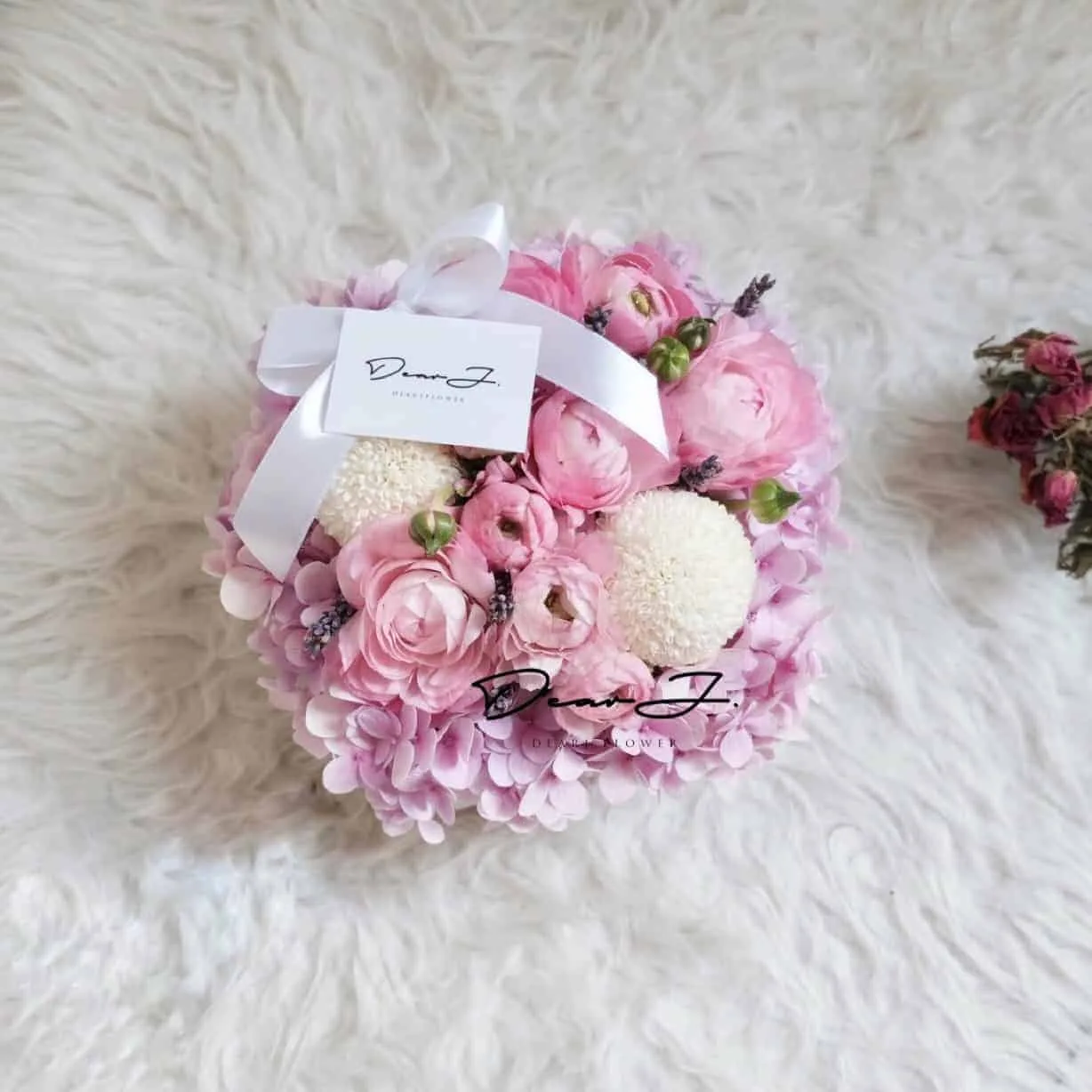 Rosa
