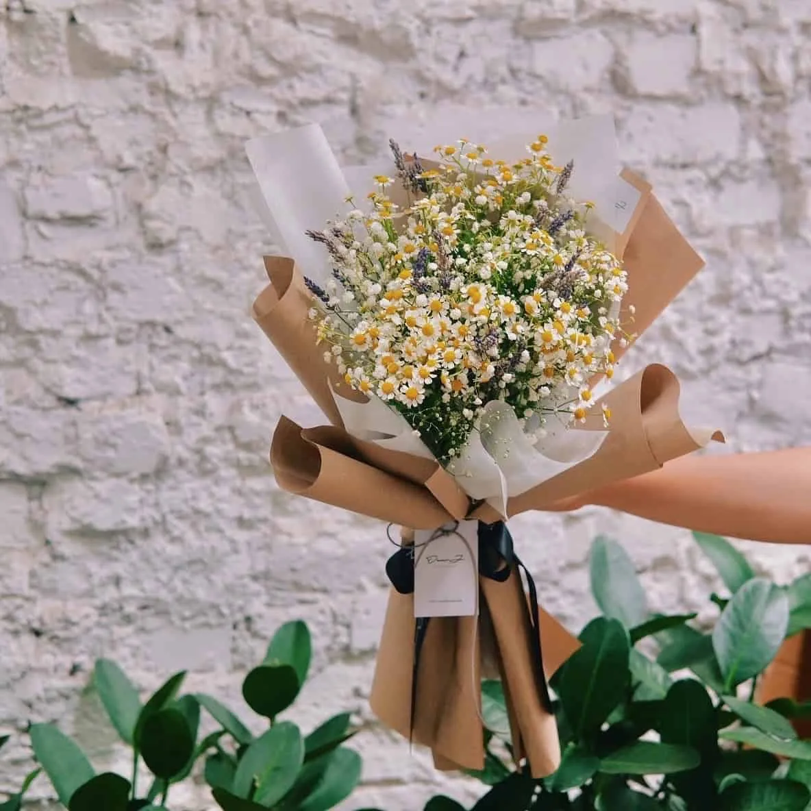 Chamomile & Baby's Breath Bouquet