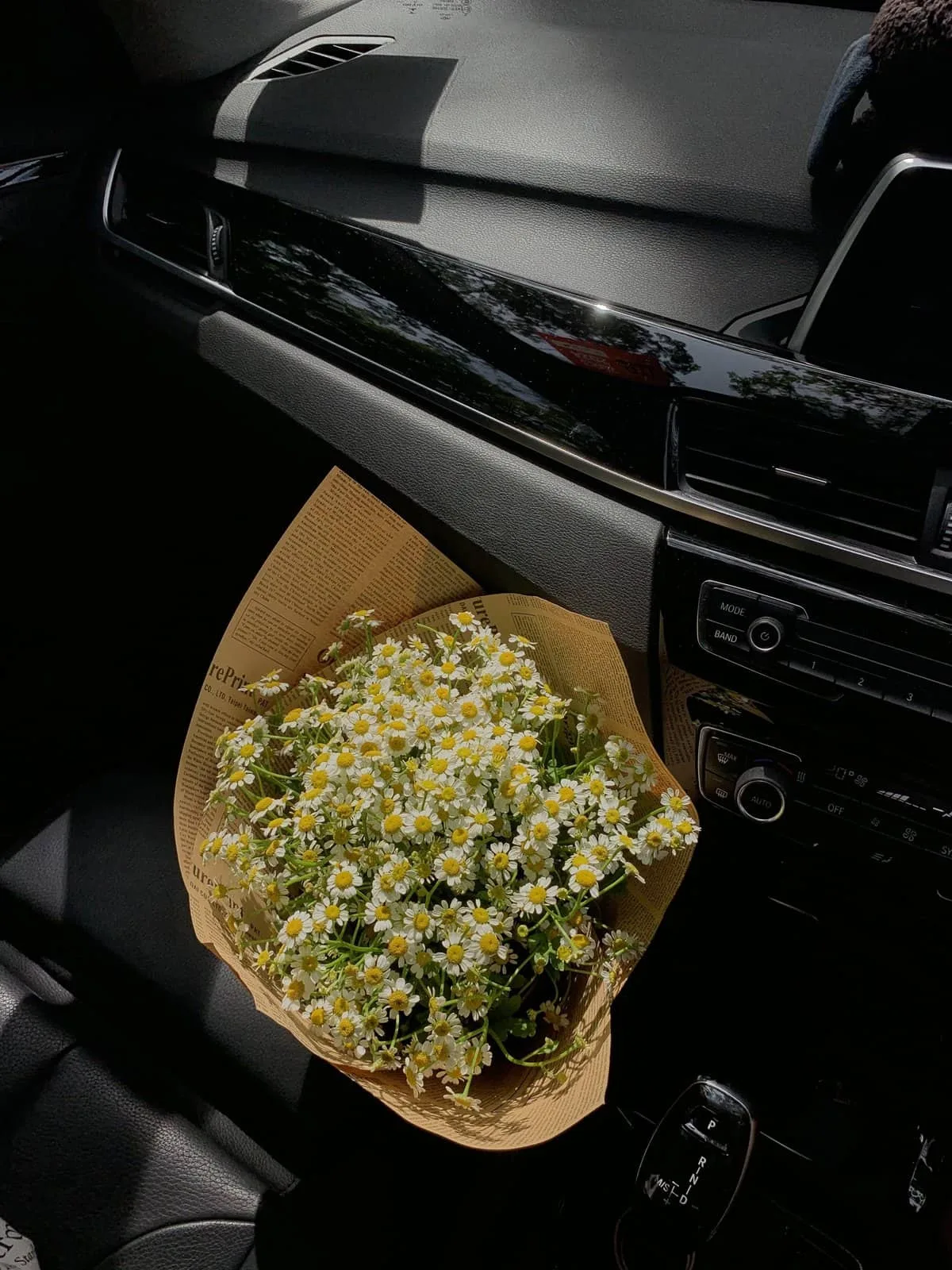 Chamomile