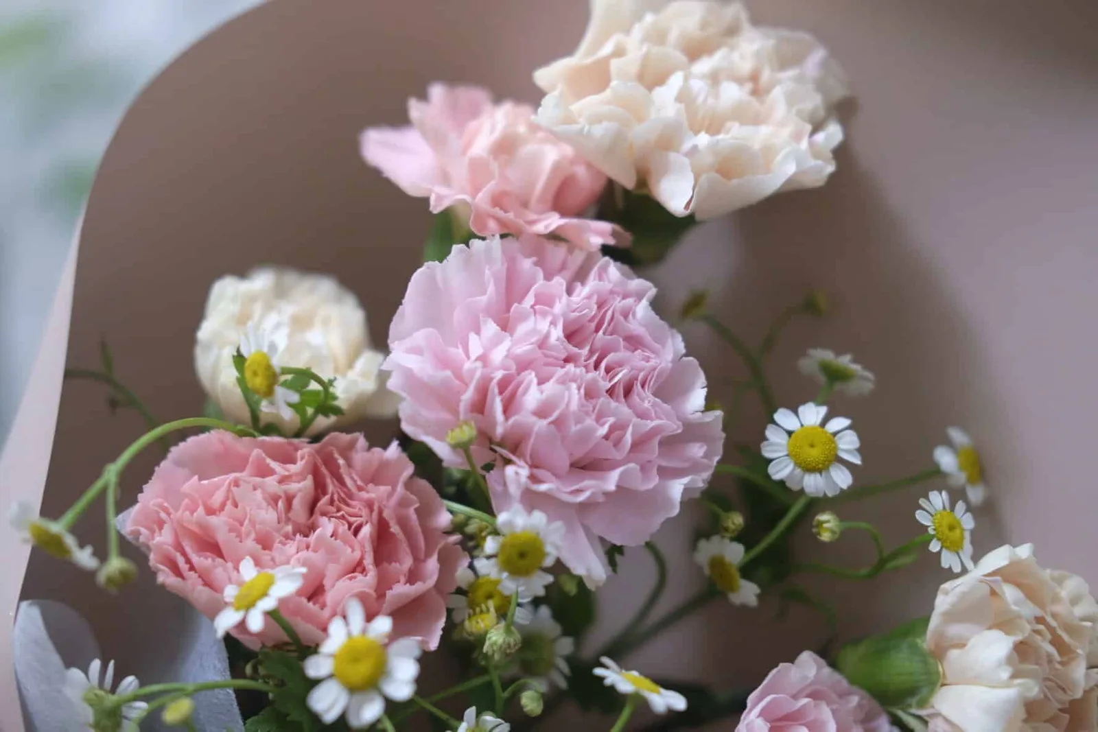 Carnation Bouquet 2