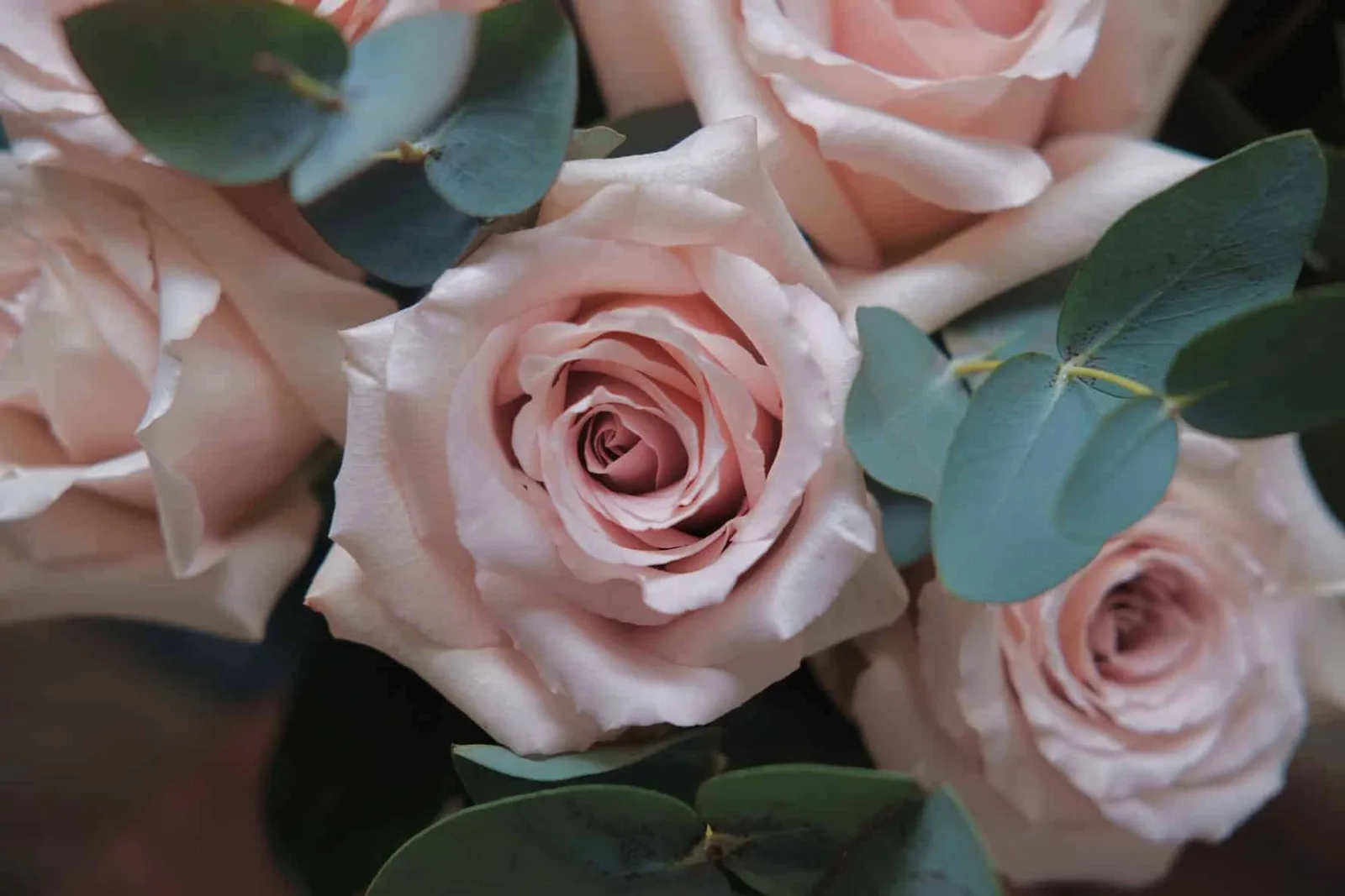 Quicksand Roses Hat Box 2
