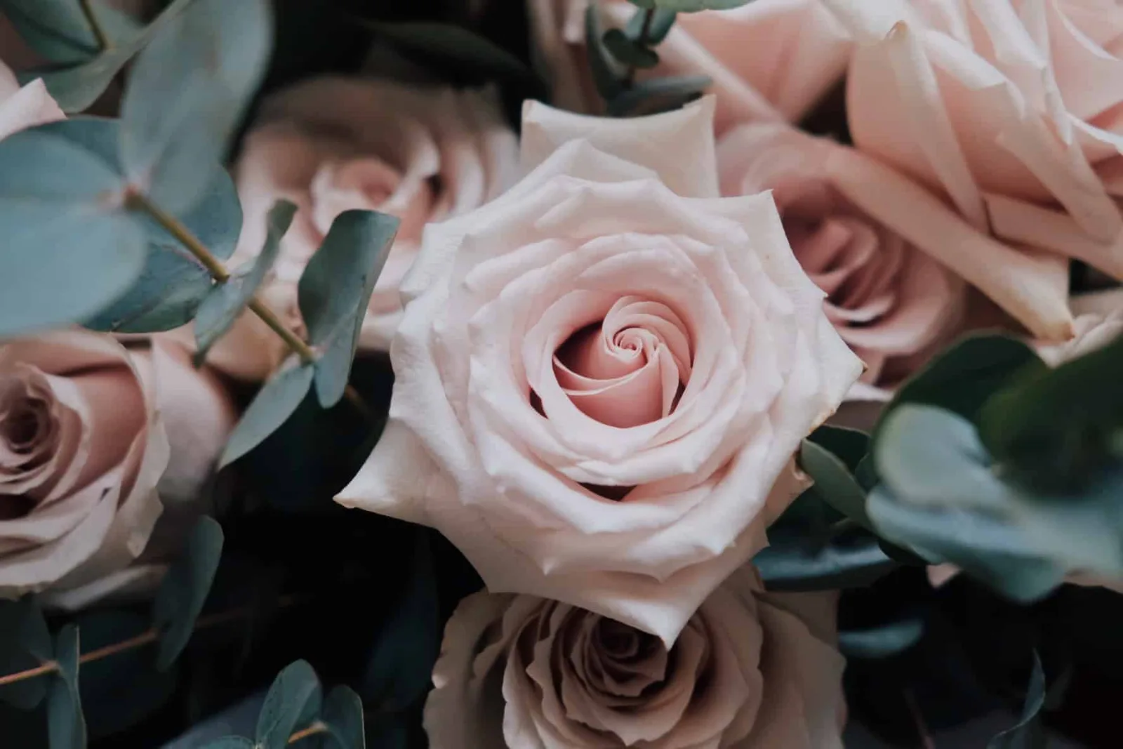 Quicksand Roses Bouquet 3