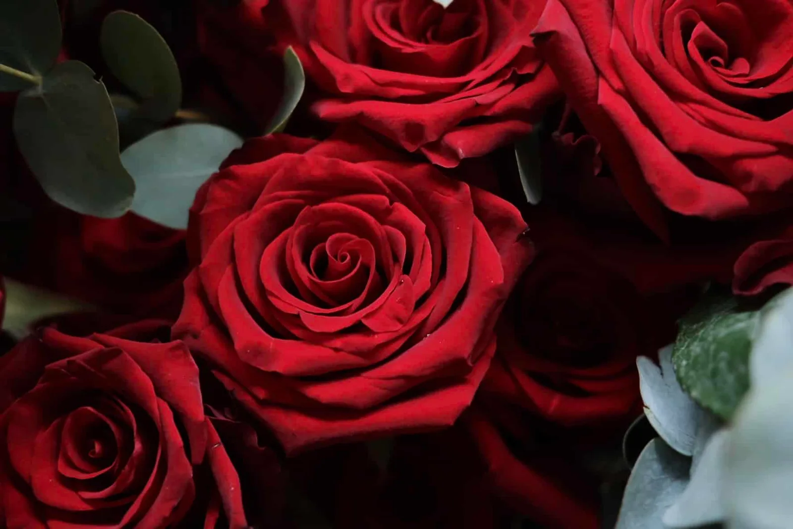 Classic Red Roses Bouquet 3