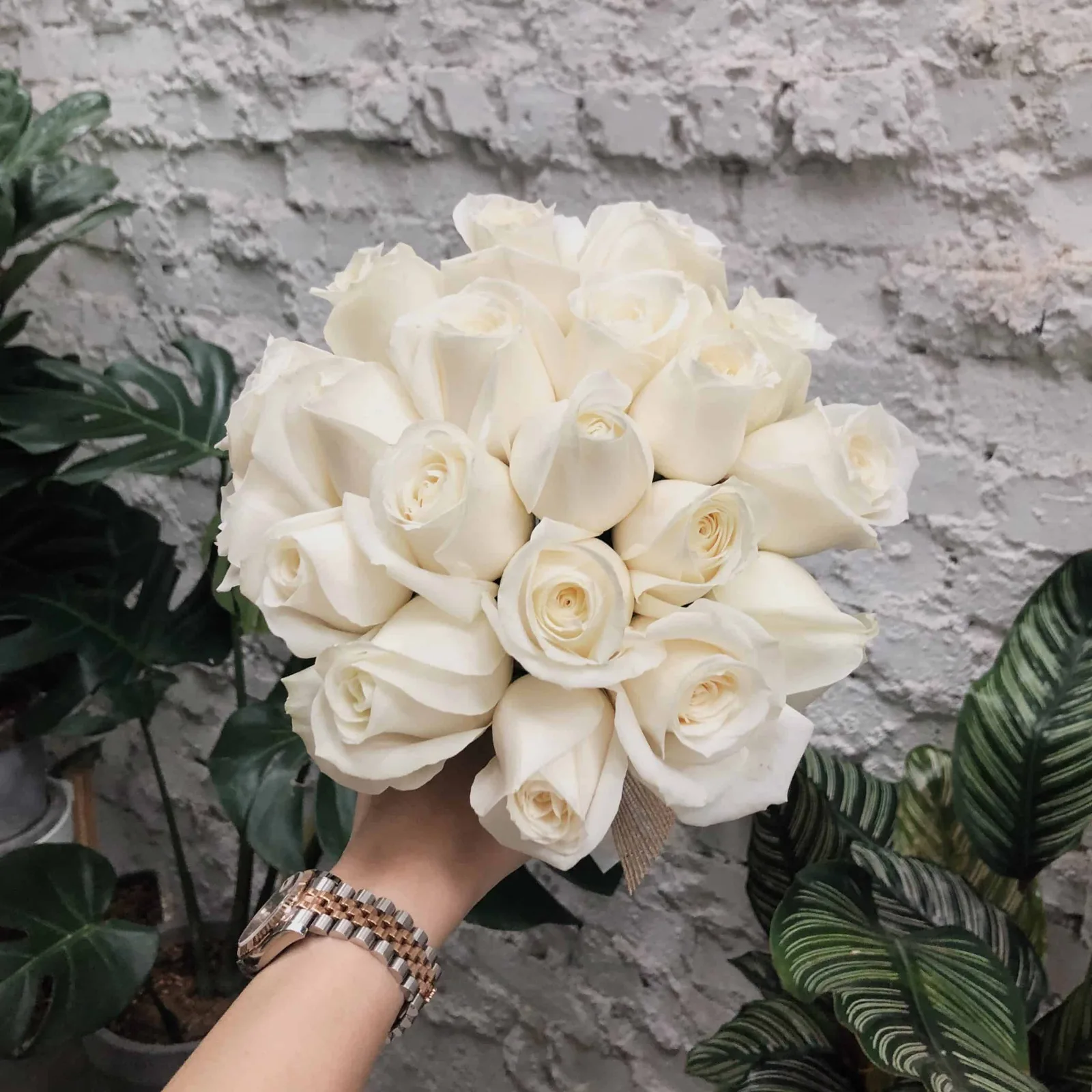 20 Roses in White