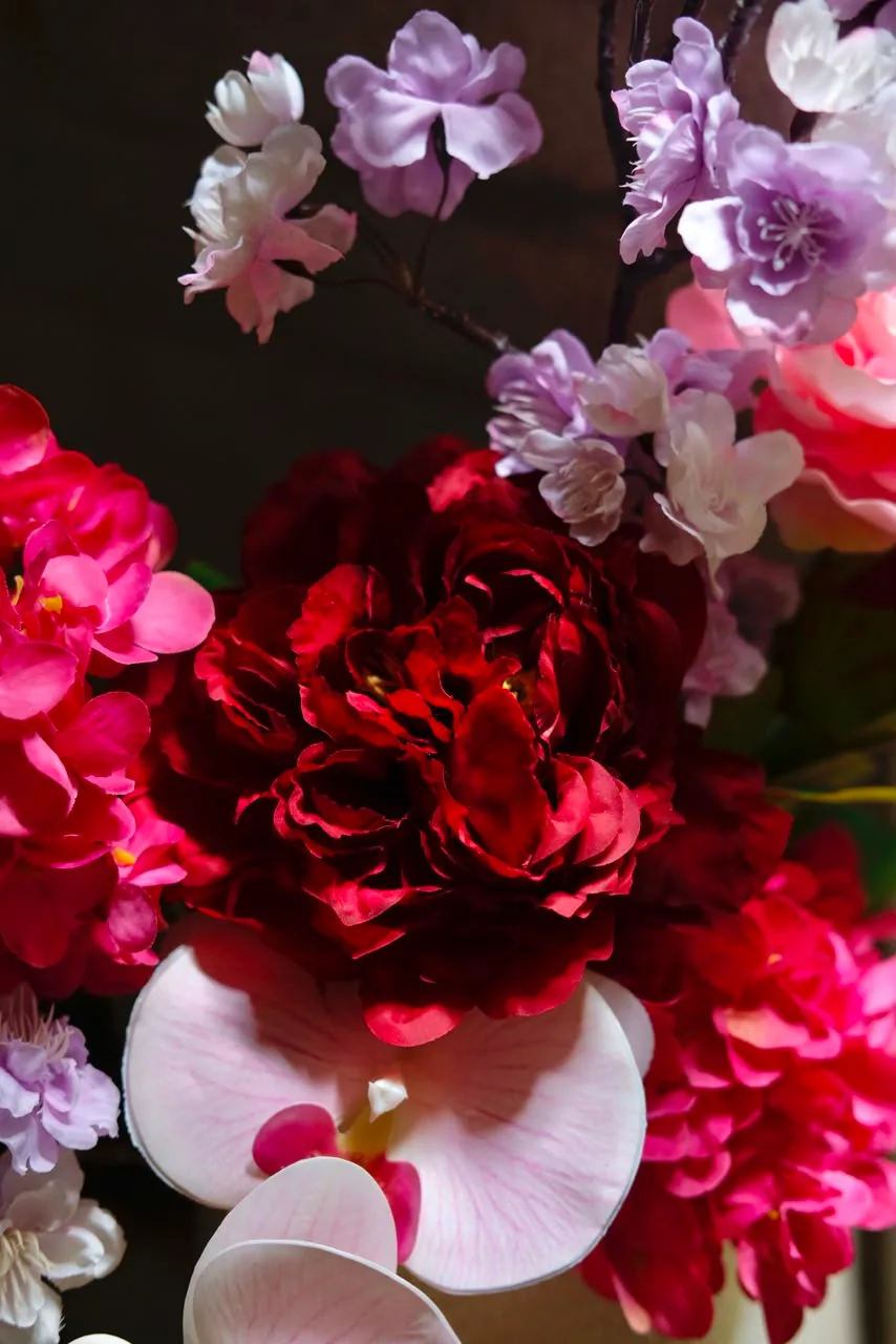Blossoms of Auspice 2